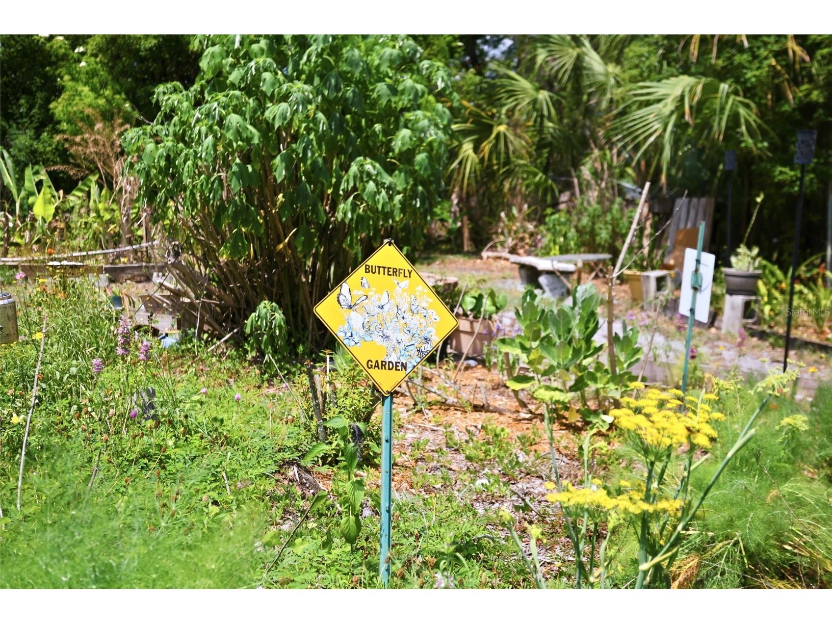 804 Rosalia Drive Sanford FL 32771 O6409764 image31