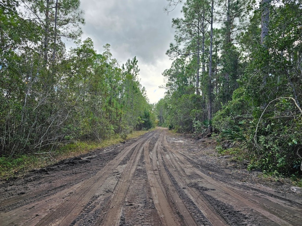 804 Shell Harbor Road Pierson FL 32180 R4910423 image2