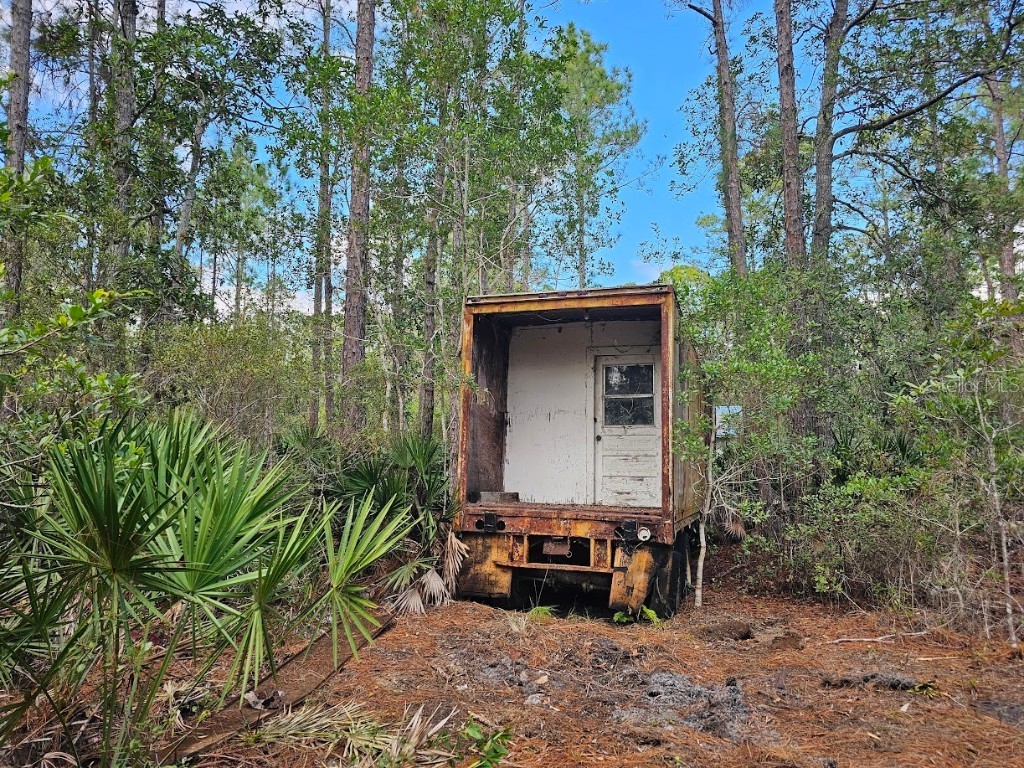 804 Shell Harbor Road Pierson FL 32180 R4910423 image26