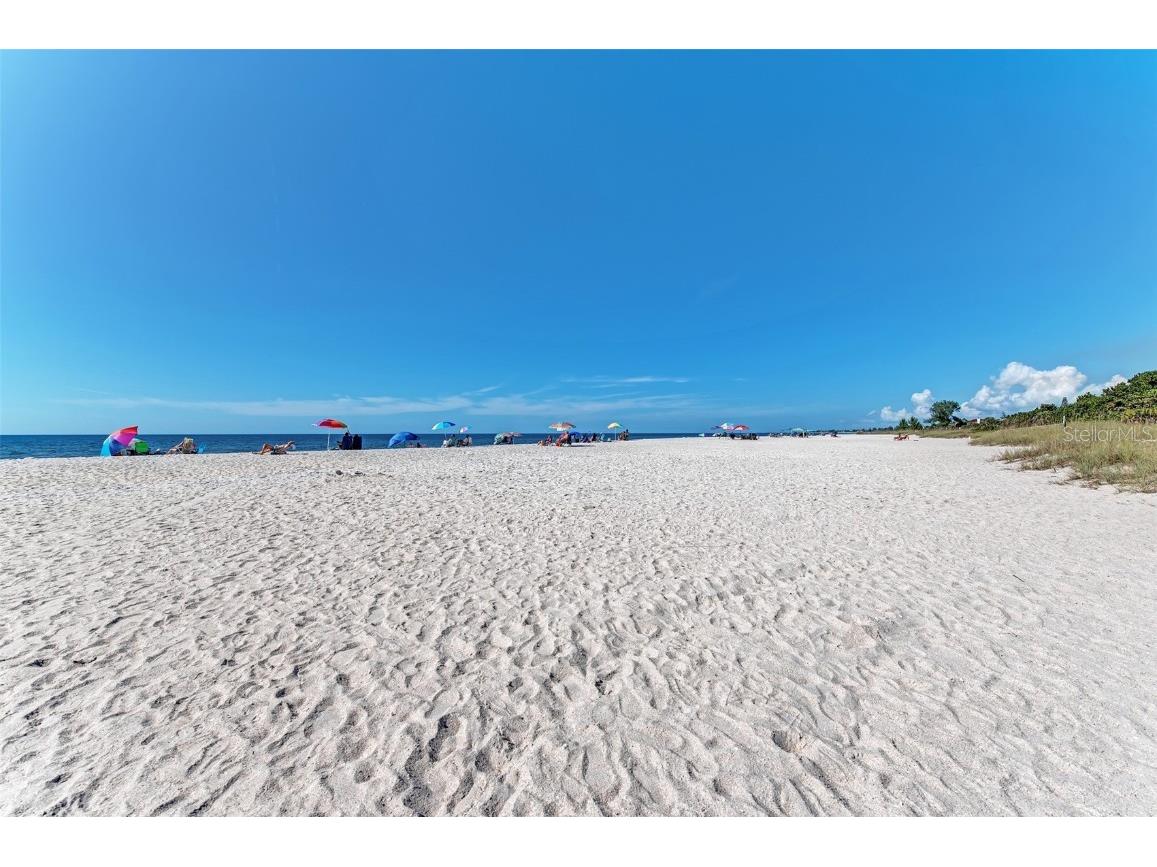 804 Turf Venice FL 34285 N6141485 image82