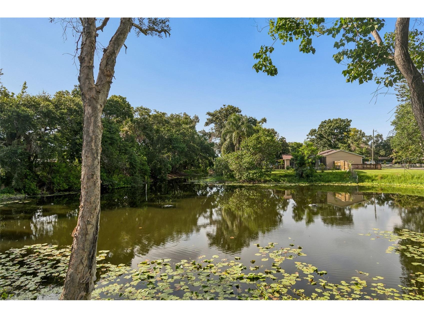 8040 57th Street N Pinellas Park FL 33781 TB8526614 image83