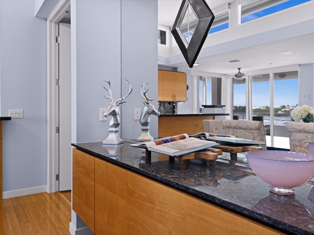 8041 Bay Pointe Drive Englewood FL 34224 - INTRACOASTAL WATERWAY D6143033 image10