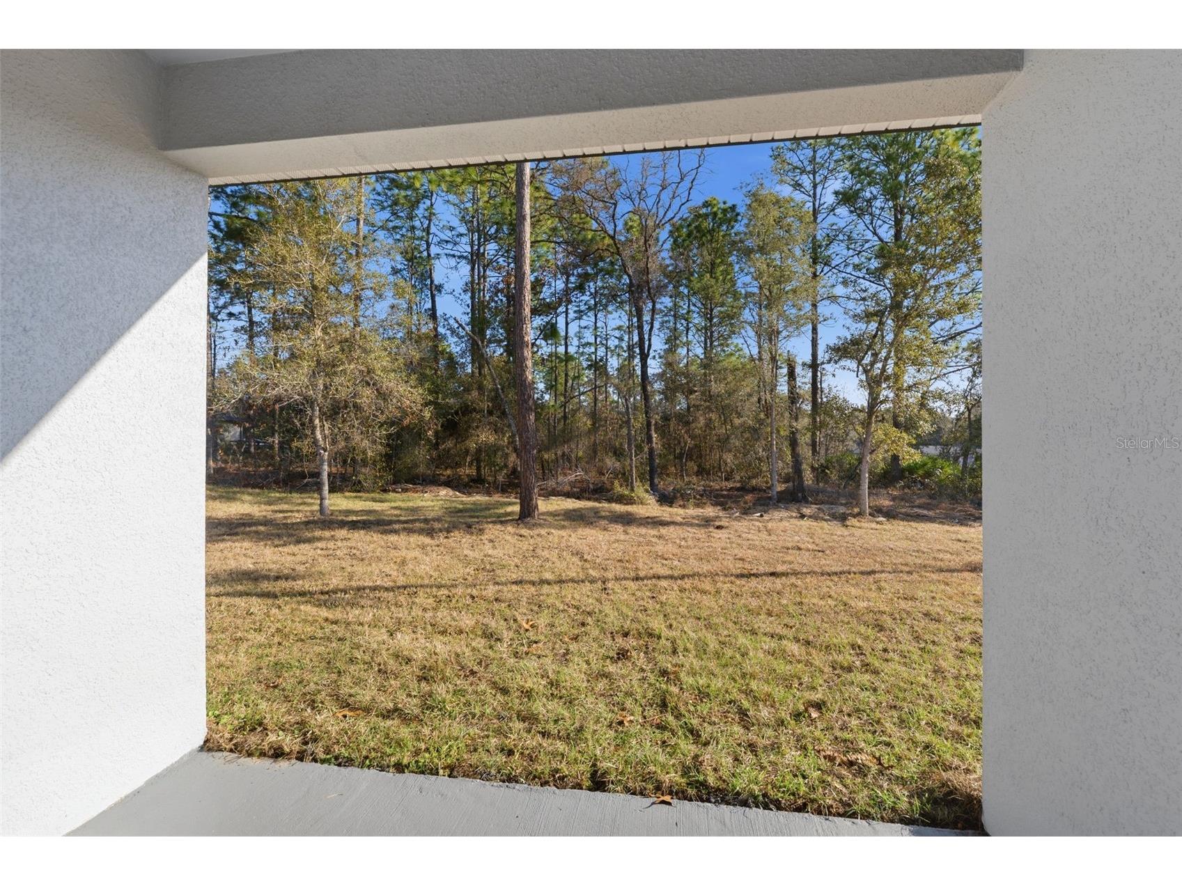 8041 N Pickinz Way Citrus Springs FL 34433 O6385154 image31