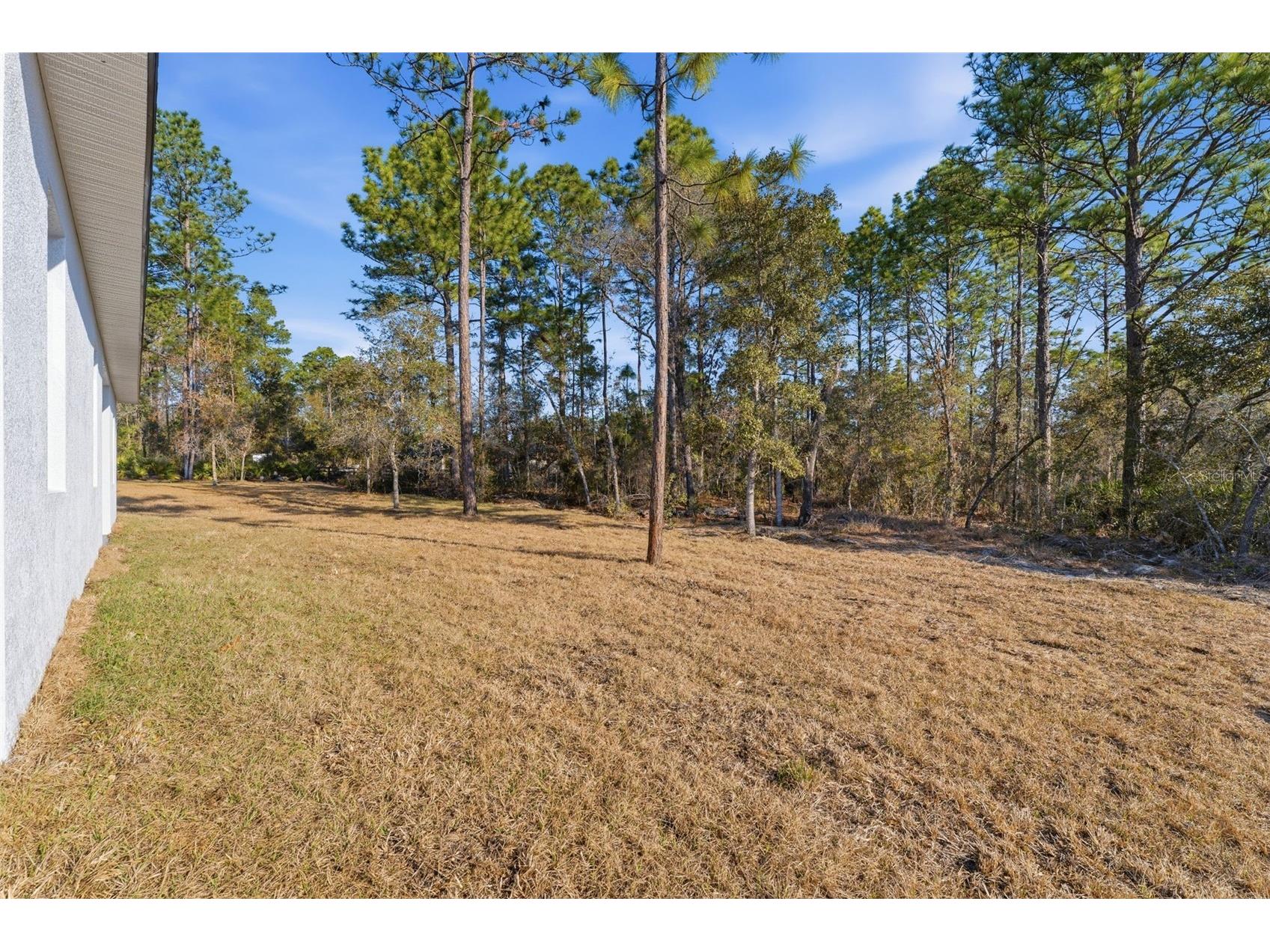 8041 N Pickinz Way Citrus Springs FL 34433 O6385154 image32