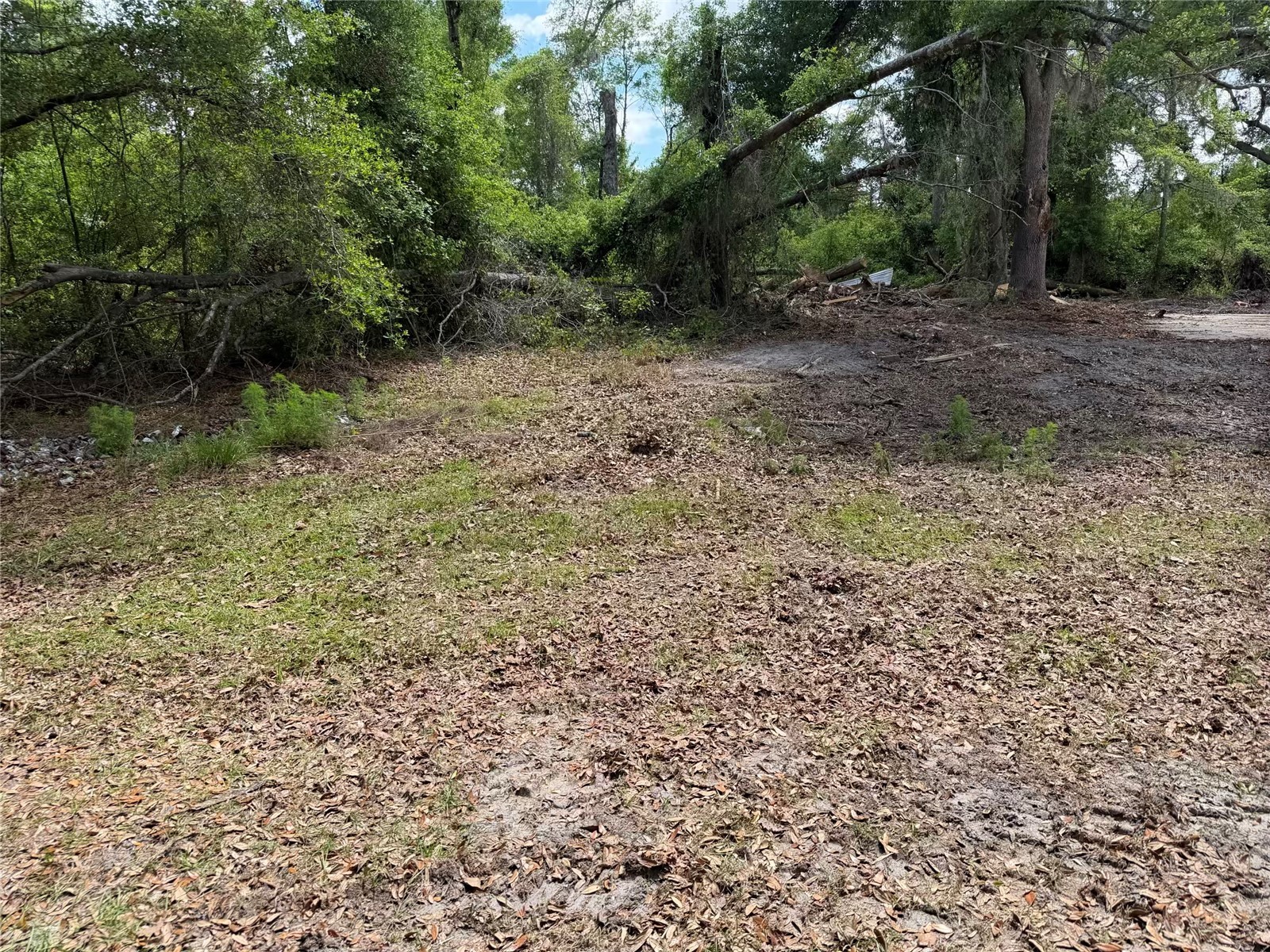 8041 NW Cr 152 Jennings FL 32053 GC539550 image11