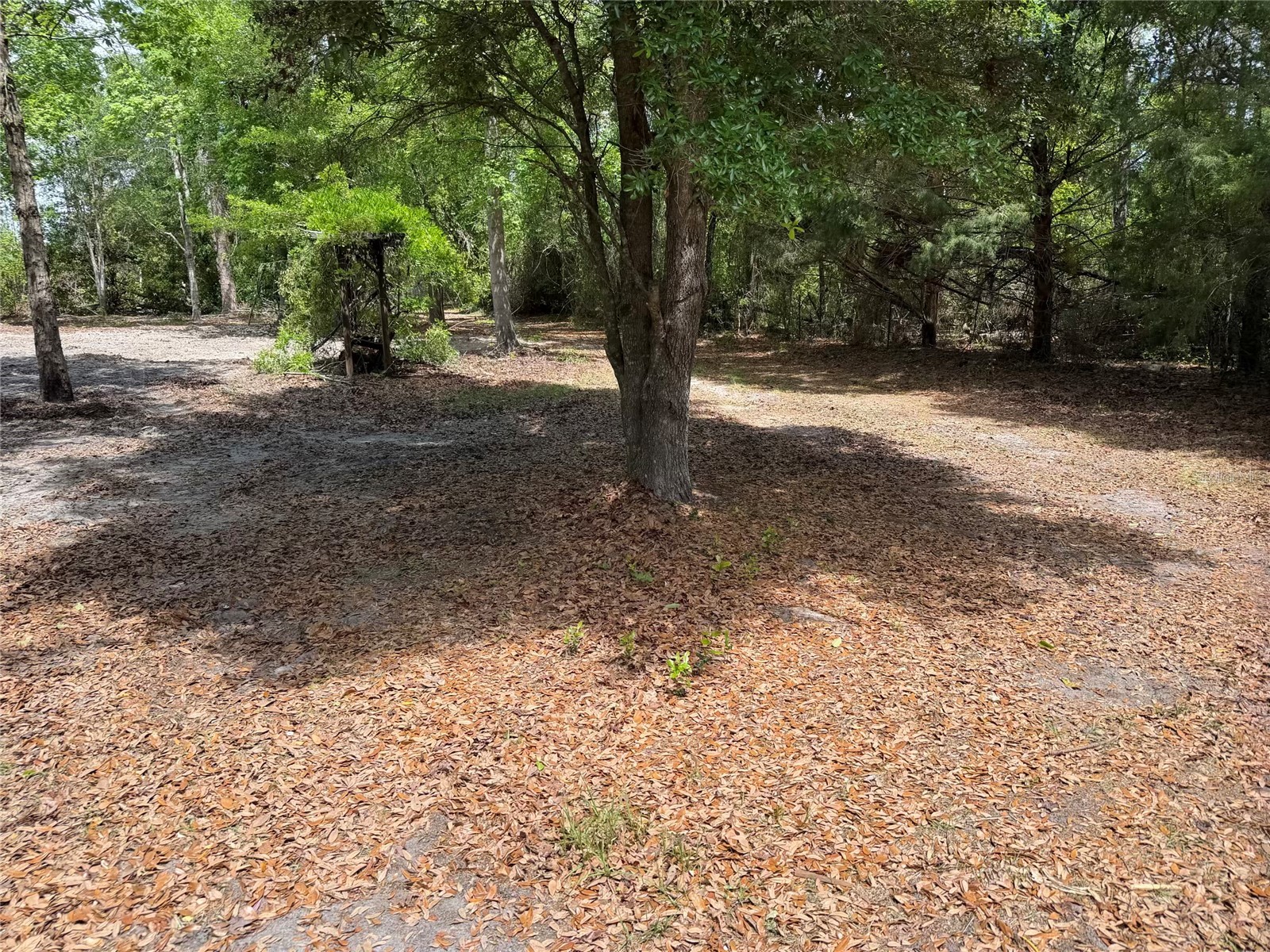 8041 NW Cr 152 Jennings FL 32053 GC539550 image12