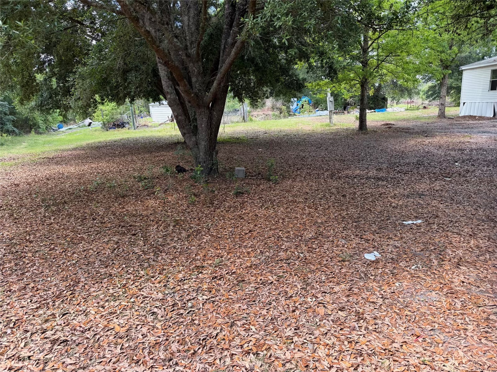 8041 NW Cr 152 Jennings FL 32053 GC539550 image13