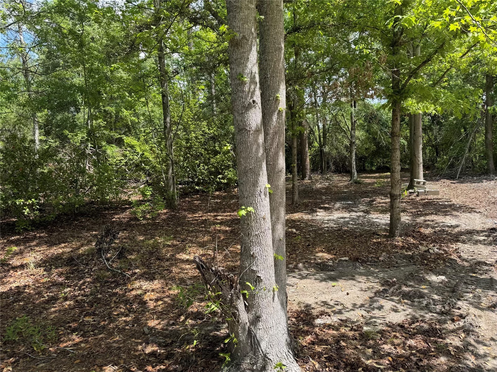 8041 NW Cr 152 Jennings FL 32053 GC539550 image9