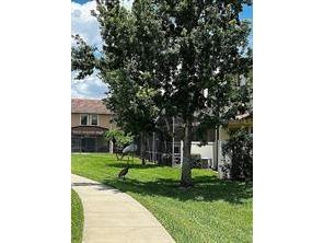 8041 Prestbury Drive Orlando FL 32832 O6358132 image14