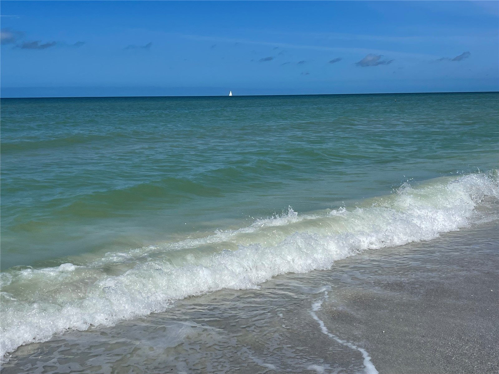 8042 36th Avenue N Saint Petersburg FL 33710 TB8481035 image43