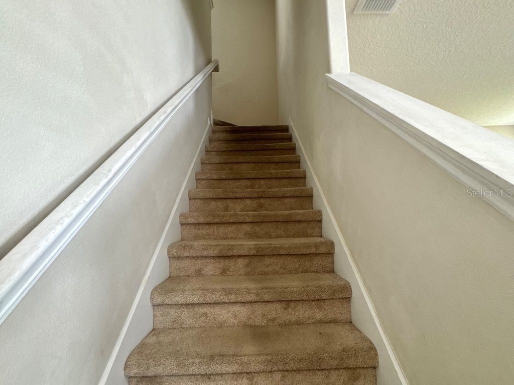 8042 Corkfield Avenue Orlando FL 32832 S5147291 image16