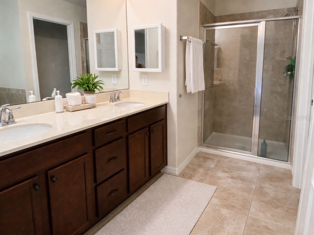 8042 Corkfield Avenue Orlando FL 32832 S5147291 image21