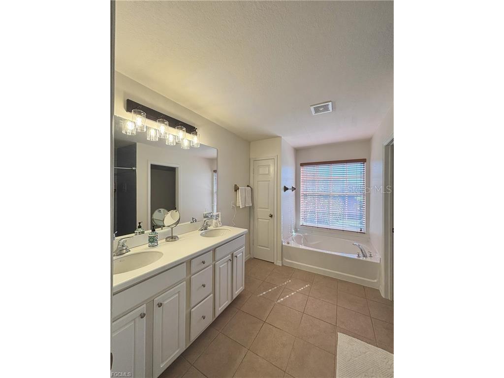 8042 Silver Birch Way Lehigh Acres FL 33971 A4686424 image19