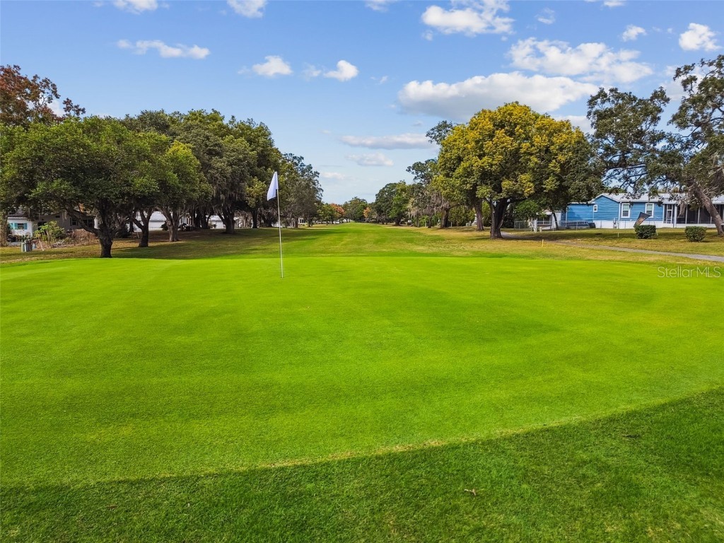 8043 Little Tee Lane Brooksville FL 34613 TB8429362 image74