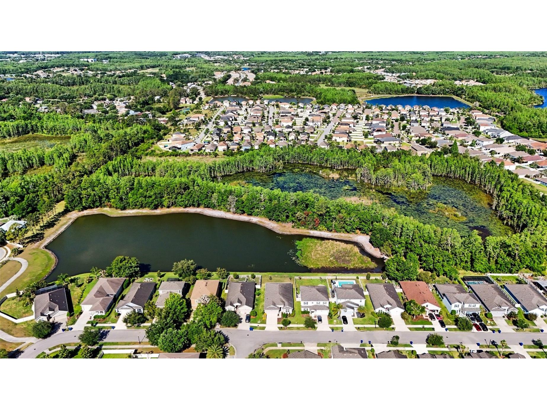 8044 Sequester Loop Land O Lakes FL 34637 TB8503238 image32