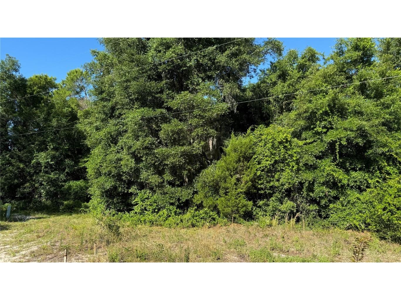 8045 NE 307th Avenue Fort Mc Coy FL 32134 O6216186 image1