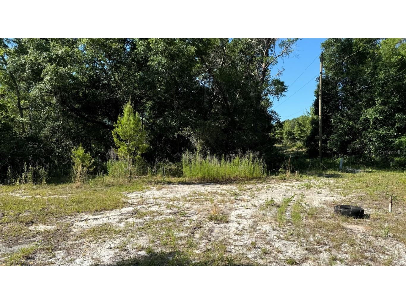 8045 NE 307th Avenue Fort Mc Coy FL 32134 O6216186 image2