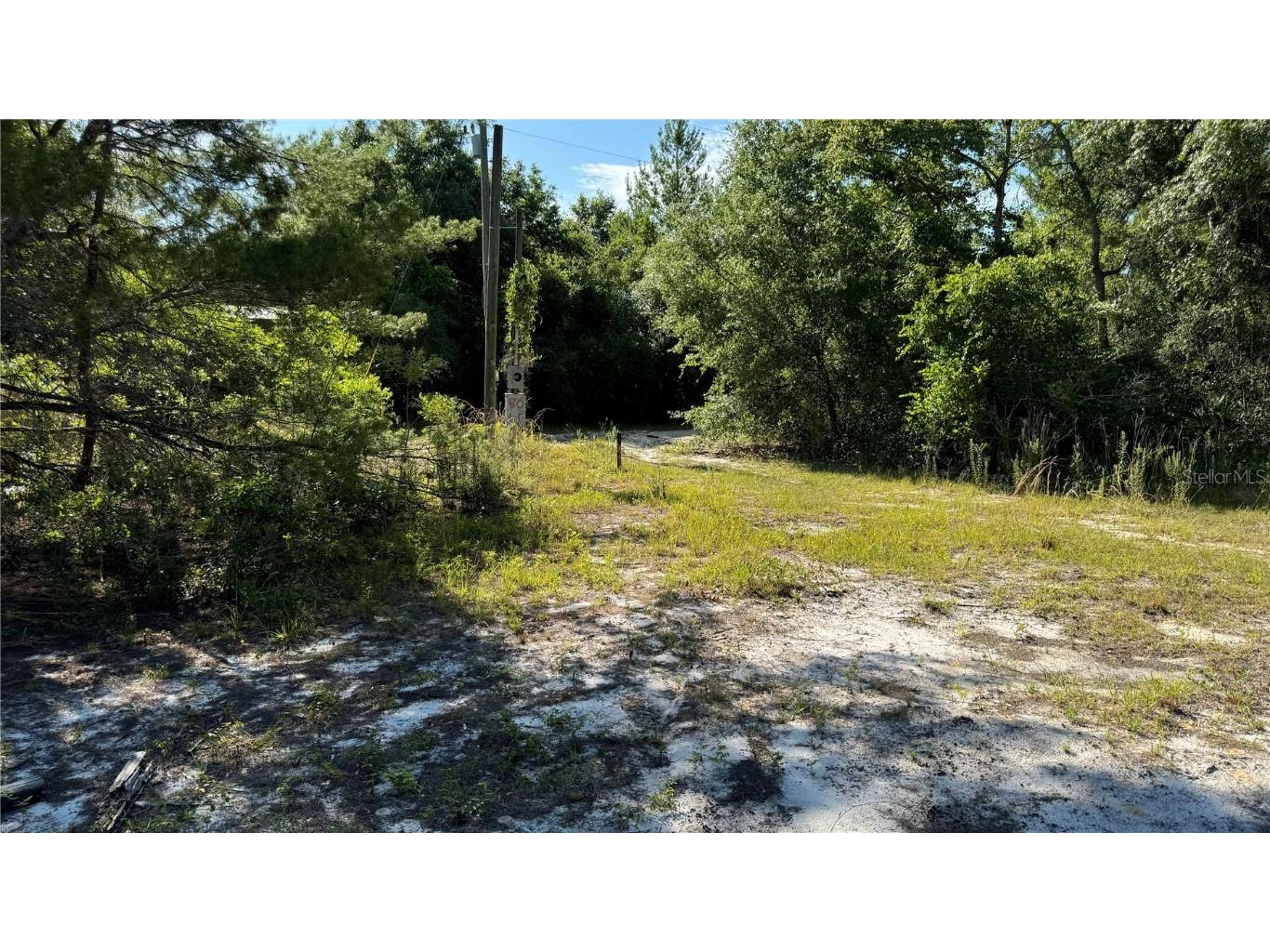 8045 NE 307th Avenue Fort Mc Coy FL 32134 O6216186 image3