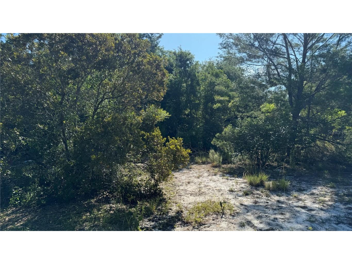 8045 NE 307th Avenue Fort Mc Coy FL 32134 O6216186 image4