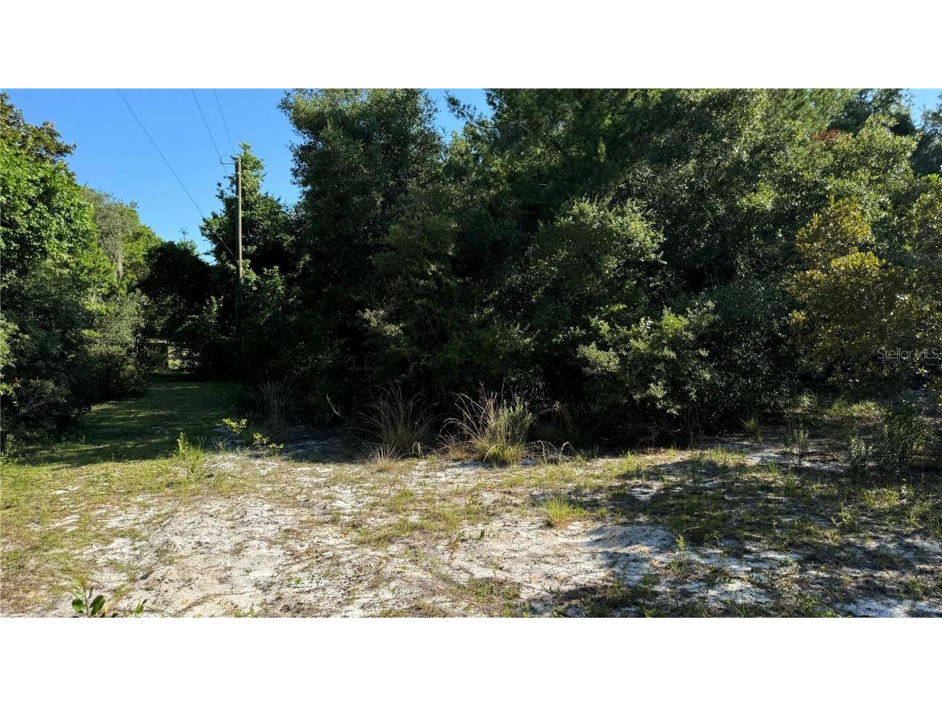 8045 NE 307th Avenue Fort Mc Coy FL 32134 O6216186 image5