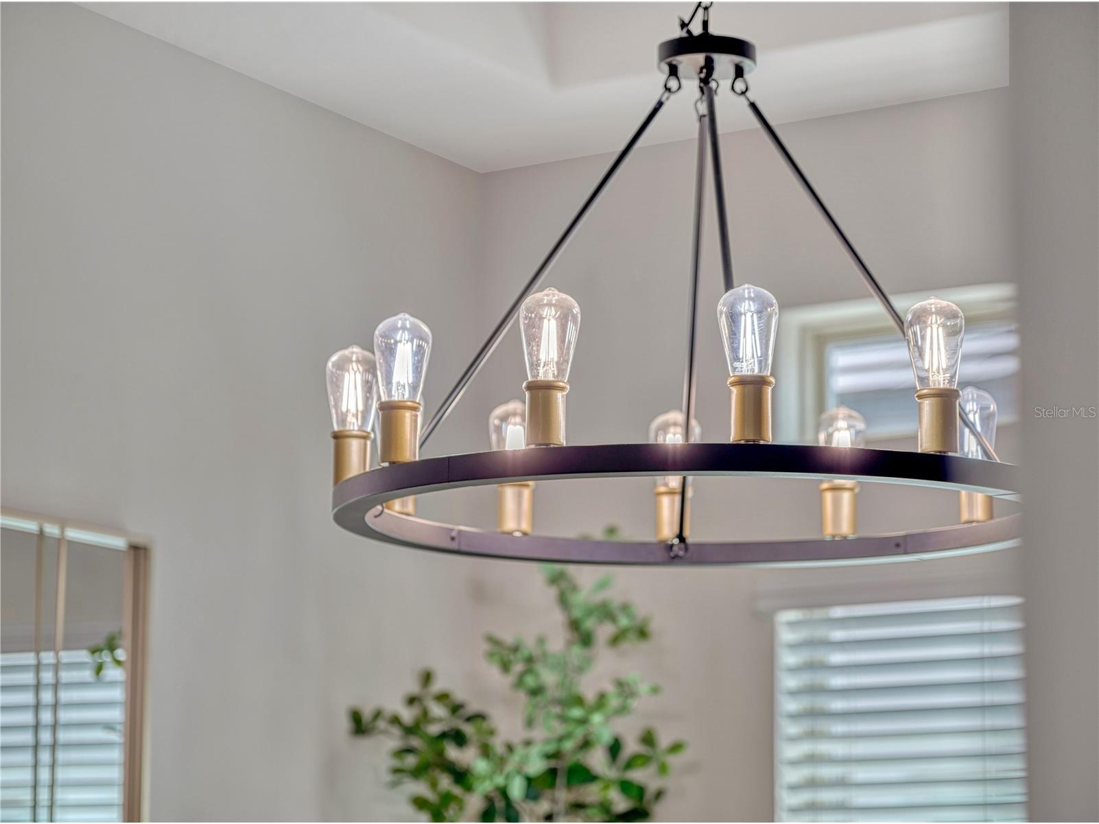 8047 Chilton Drive Orlando FL 32836 O6314632 image22