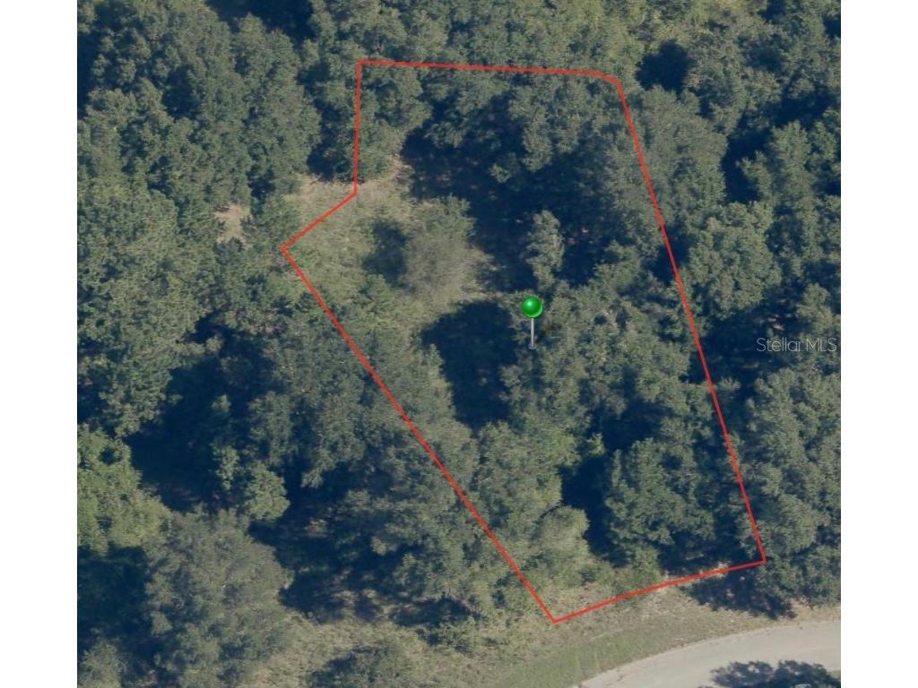 8047 N Elwood Way Citrus Springs FL 34434 A4578258 image2