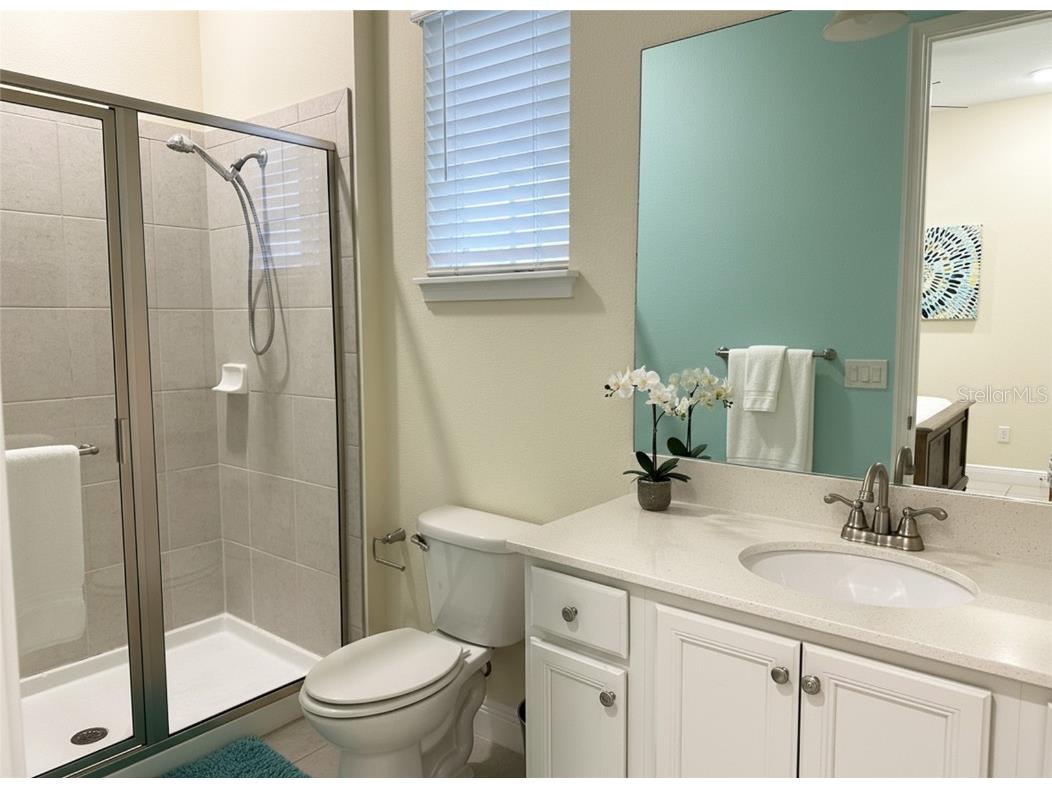 8049 Dreamsicle Drive Kissimmee FL 34747 TB8433591 image17