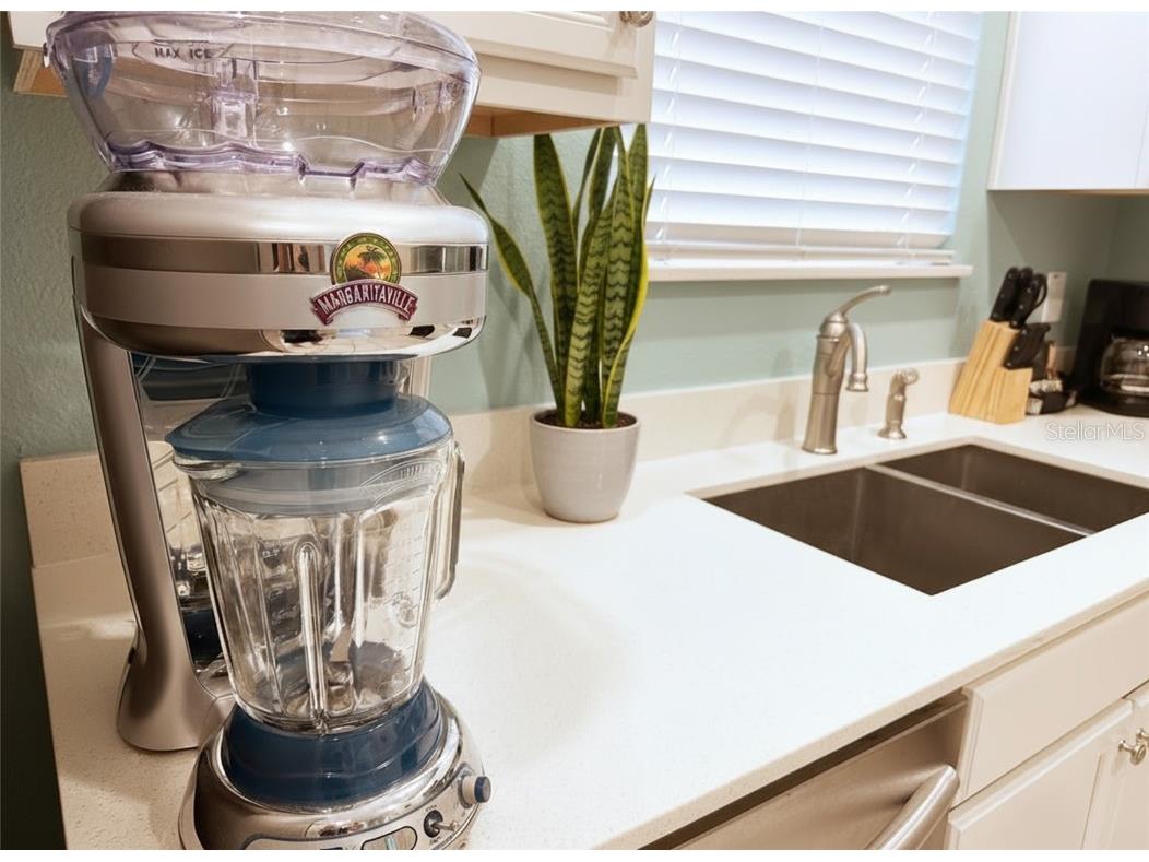 8049 Dreamsicle Drive Kissimmee FL 34747 TB8433591 image6