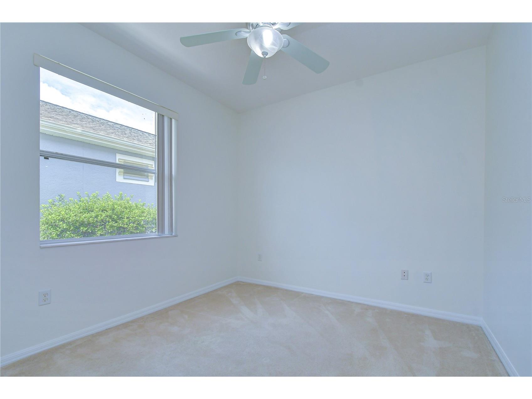 8049 Sanguinelli Road Land O Lakes FL 34637 TB8513529 image15
