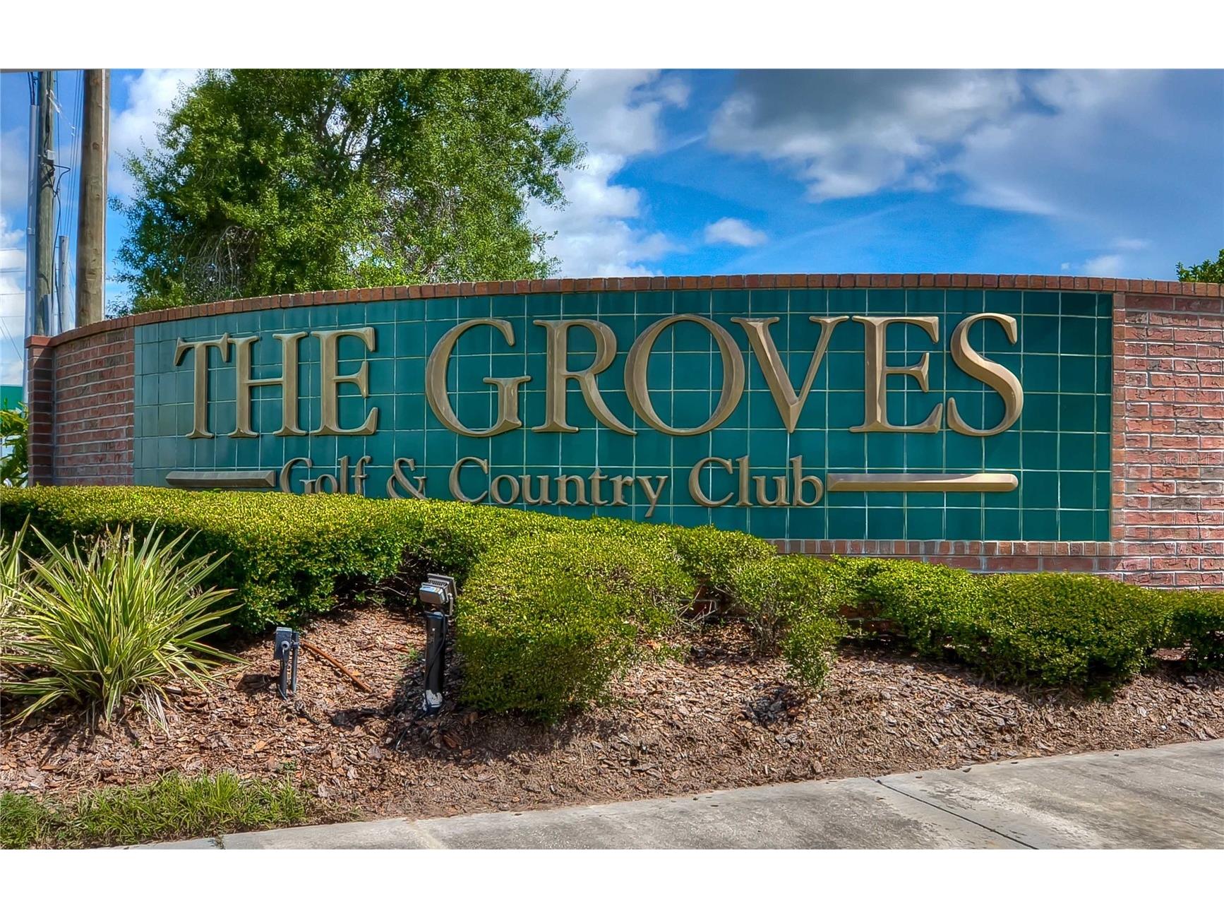 8049 Sanguinelli Road Land O Lakes FL 34637 TB8513529 image23