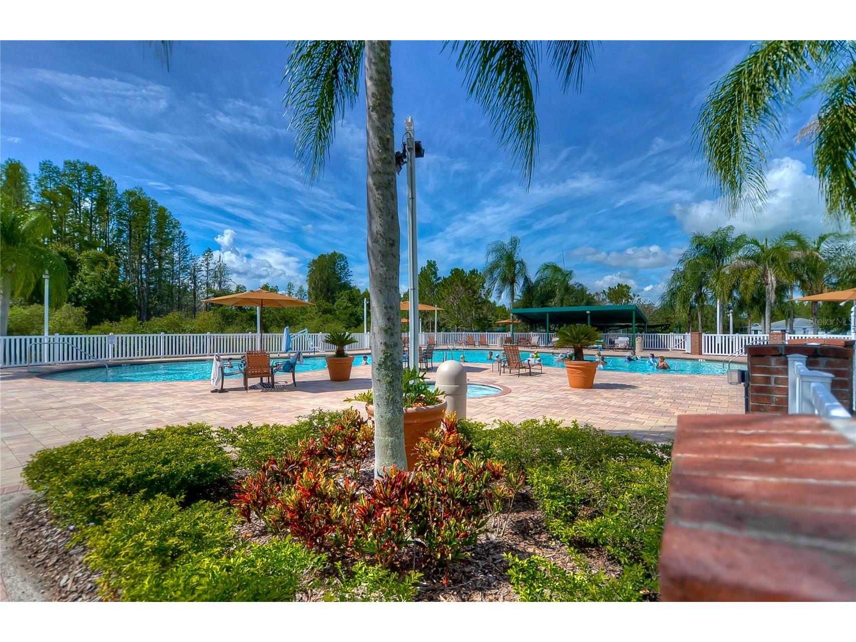 8049 Sanguinelli Road Land O Lakes FL 34637 TB8513529 image24