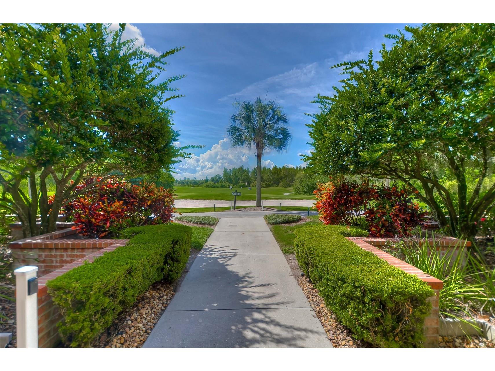 8049 Sanguinelli Road Land O Lakes FL 34637 TB8513529 image28