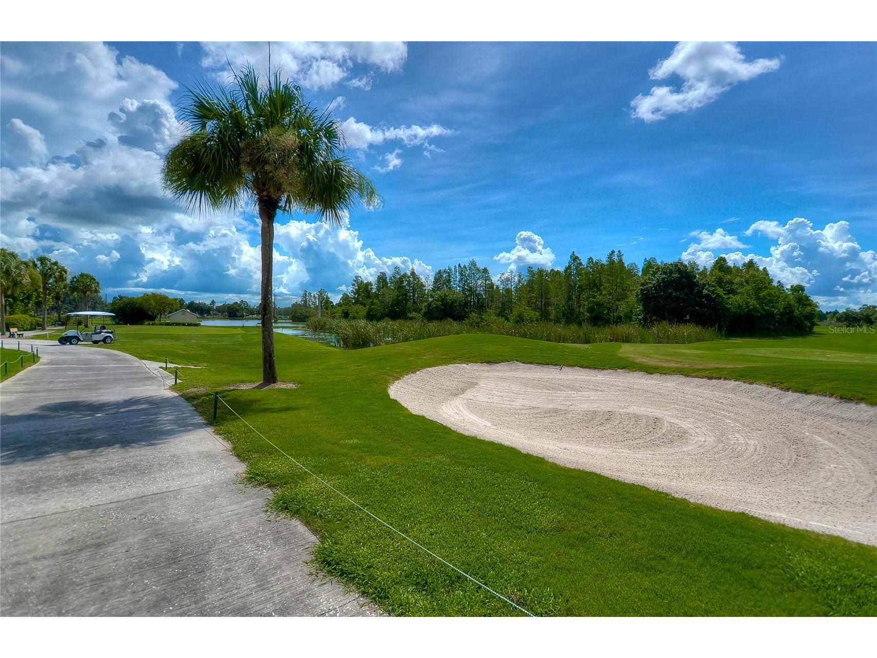 8049 Sanguinelli Road Land O Lakes FL 34637 TB8513529 image29