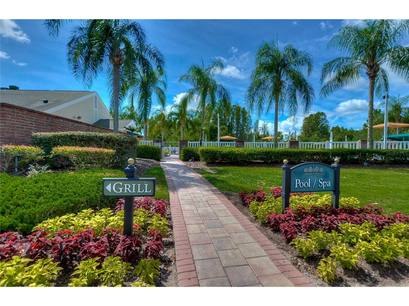 8049 Sanguinelli Road Land O Lakes FL 34637 TB8513529 image30