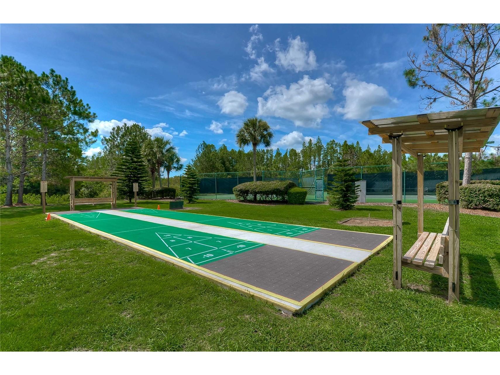 8049 Sanguinelli Road Land O Lakes FL 34637 TB8513529 image31