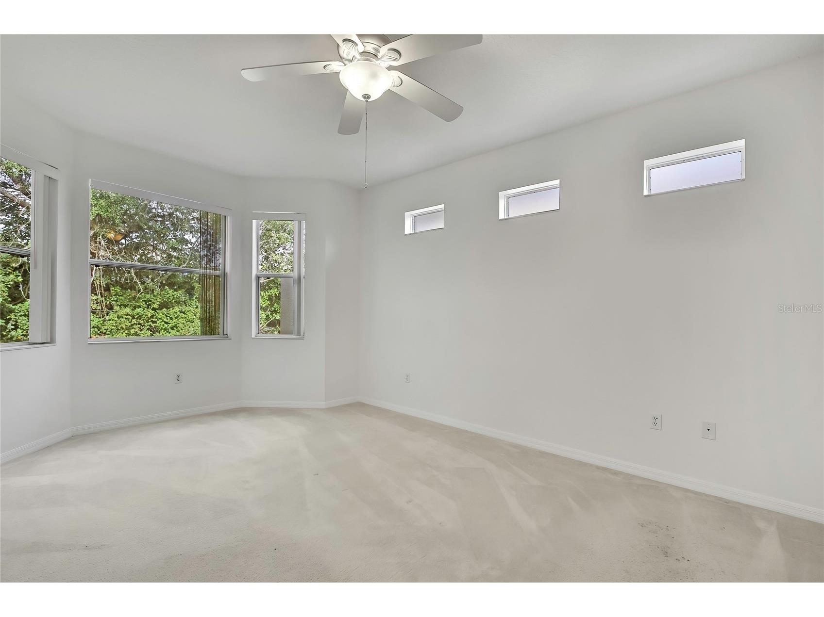 8049 Sanguinelli Road Land O Lakes FL 34637 W7882148 image17