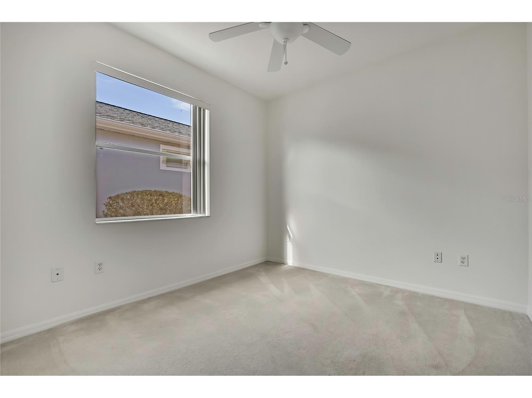 8049 Sanguinelli Road Land O Lakes FL 34637 W7882148 image29