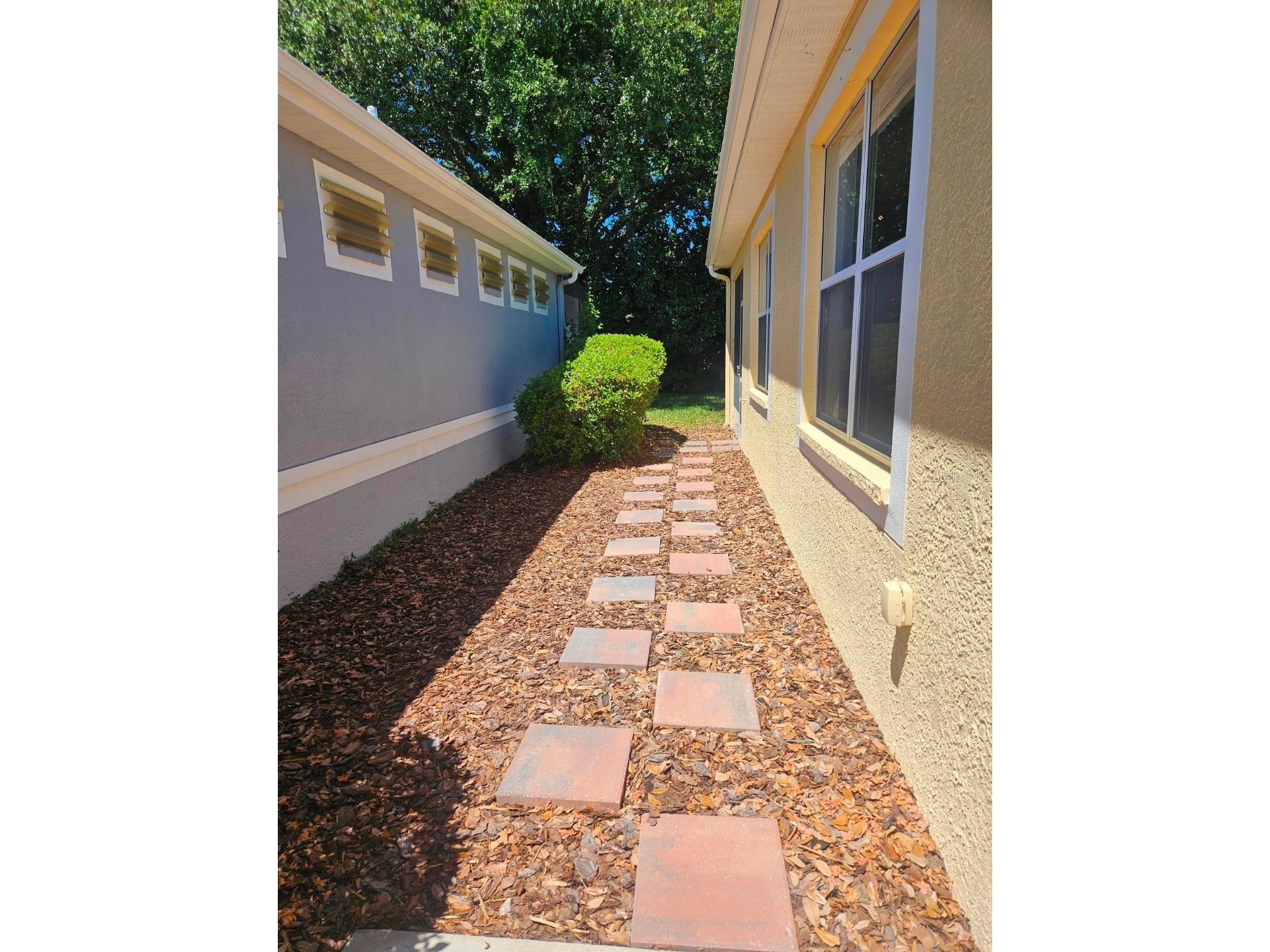 8049 Sanguinelli Road Land O Lakes FL 34637 W7882148 image4