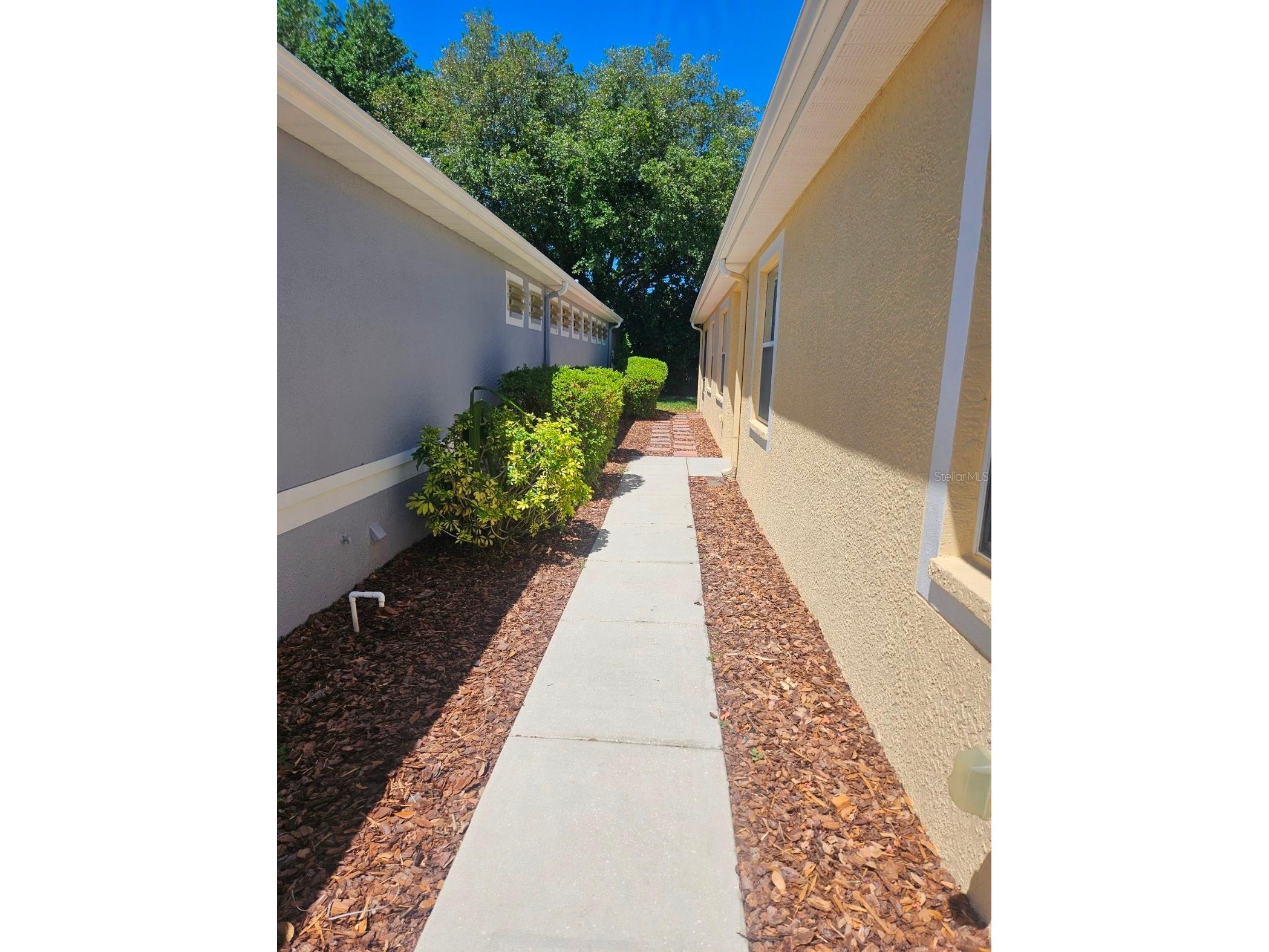 8049 Sanguinelli Road Land O Lakes FL 34637 W7882148 image5