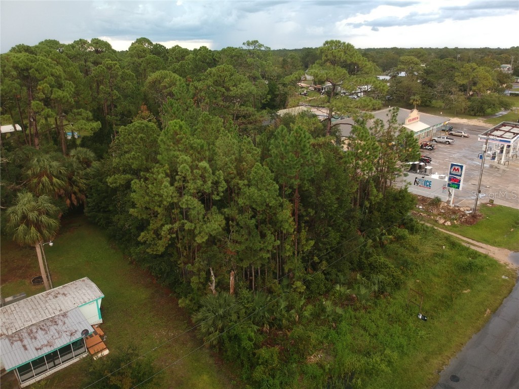 805 1st Avenue SE Steinhatchee FL 32359 GC524757 image1