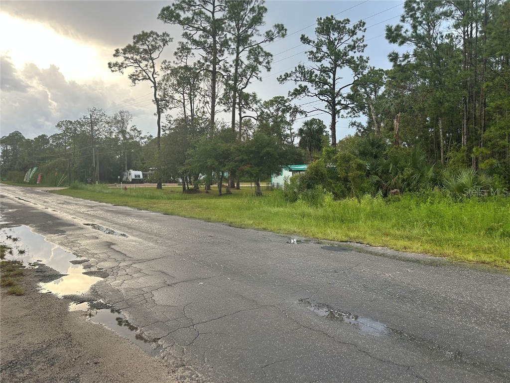 805 1st Avenue SE Steinhatchee FL 32359 GC524757 image8