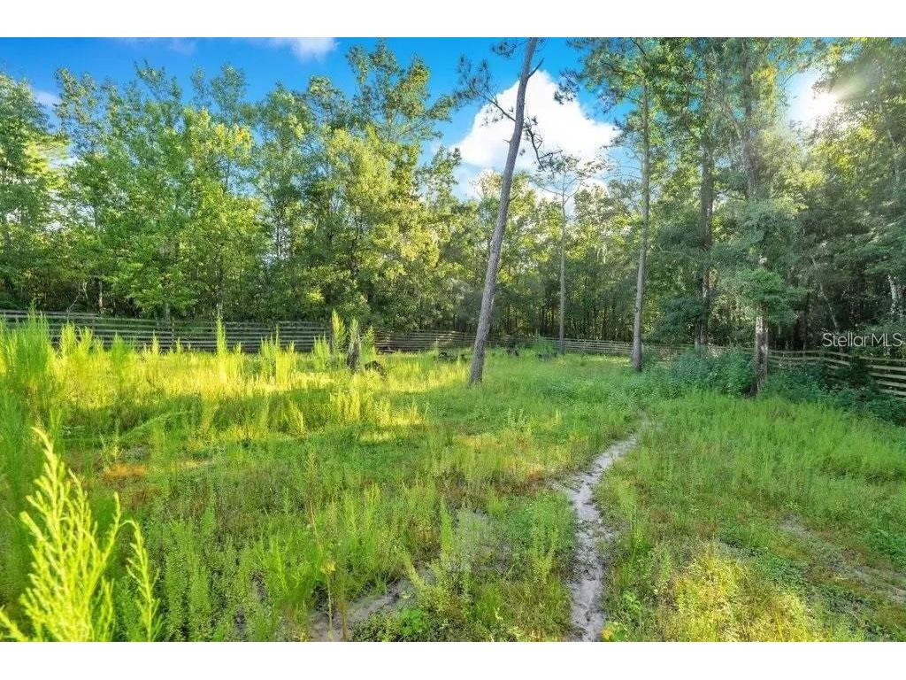 805 Baron Road Orlando FL 32828 O6344674 image4