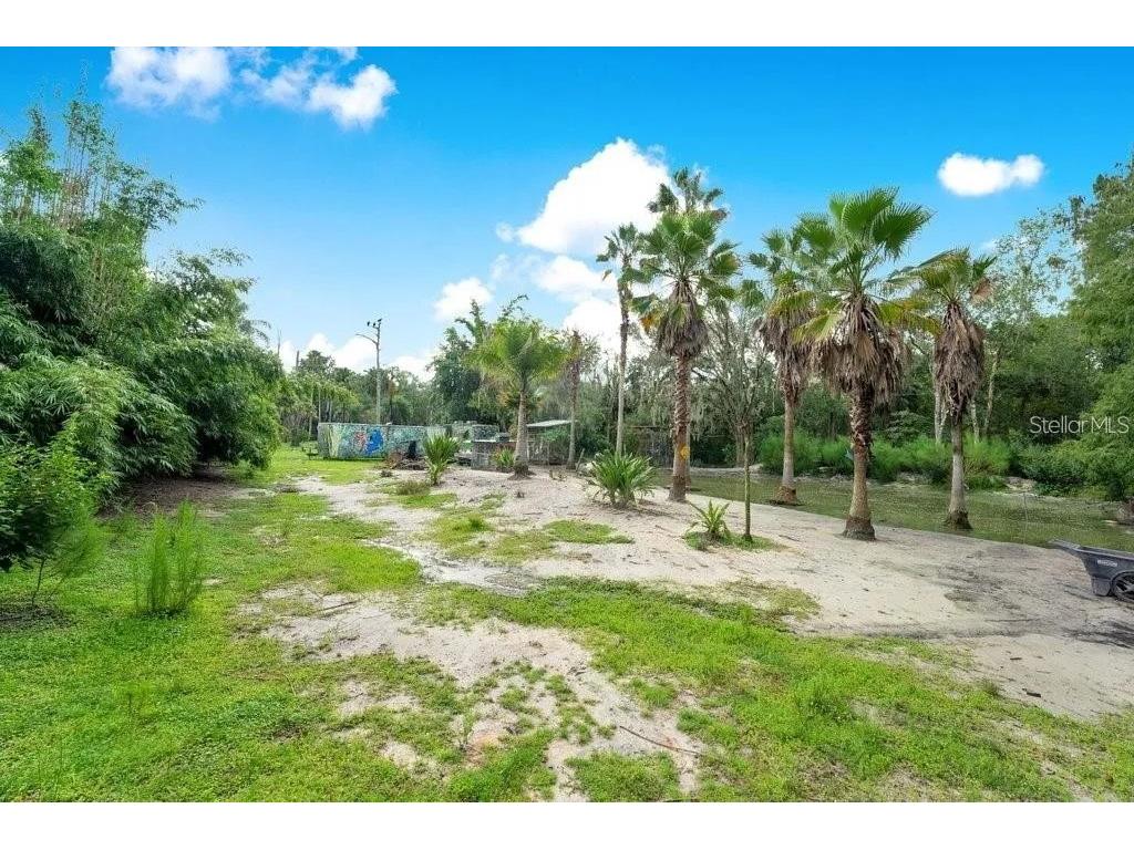 805 Baron Road Orlando FL 32828 O6344674 image5