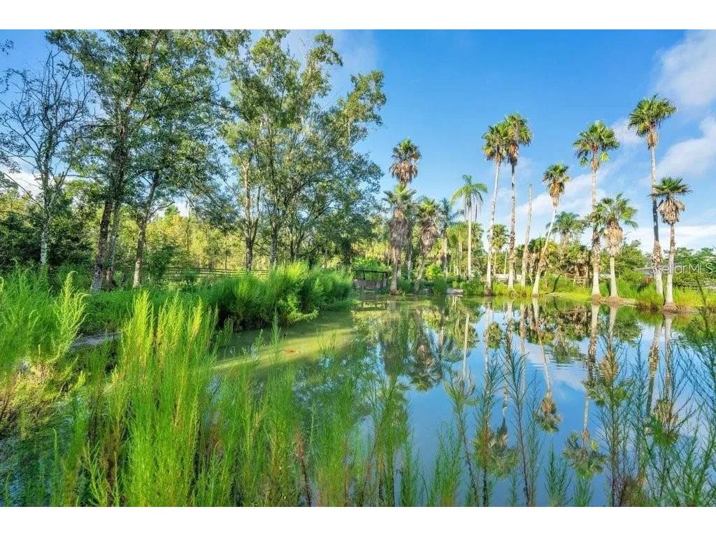 805 Baron Road Orlando FL 32828 O6344674 image6