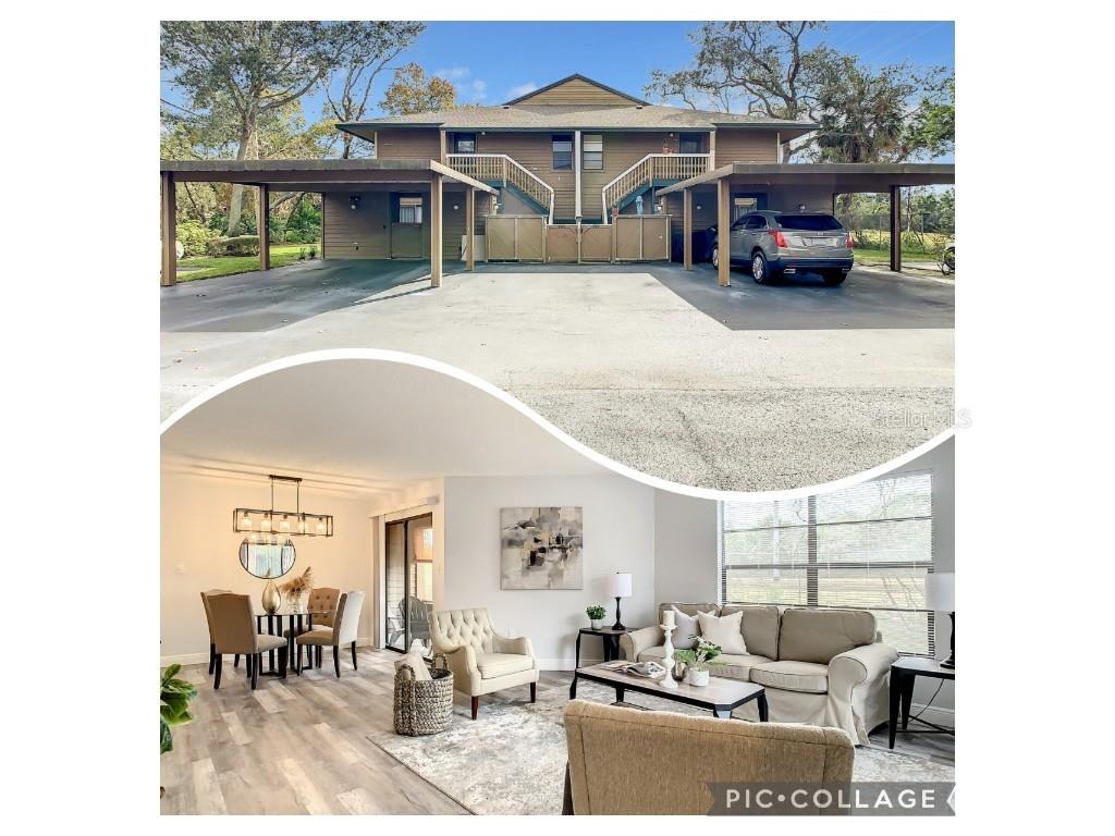 805 Lennox Road W #2508 Palm Harbor FL 34683 T3424084 image1