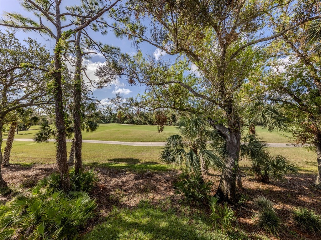 805 Montrose Drive #203 Venice FL 34293 N6137076 image28