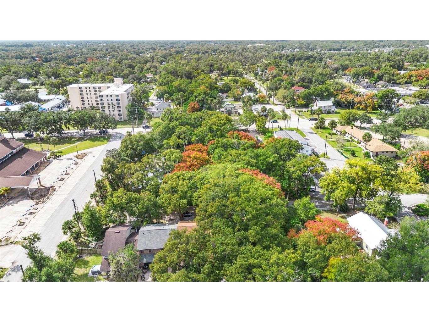 805 N Clake Street Deland FL 32724 V4945677 image41