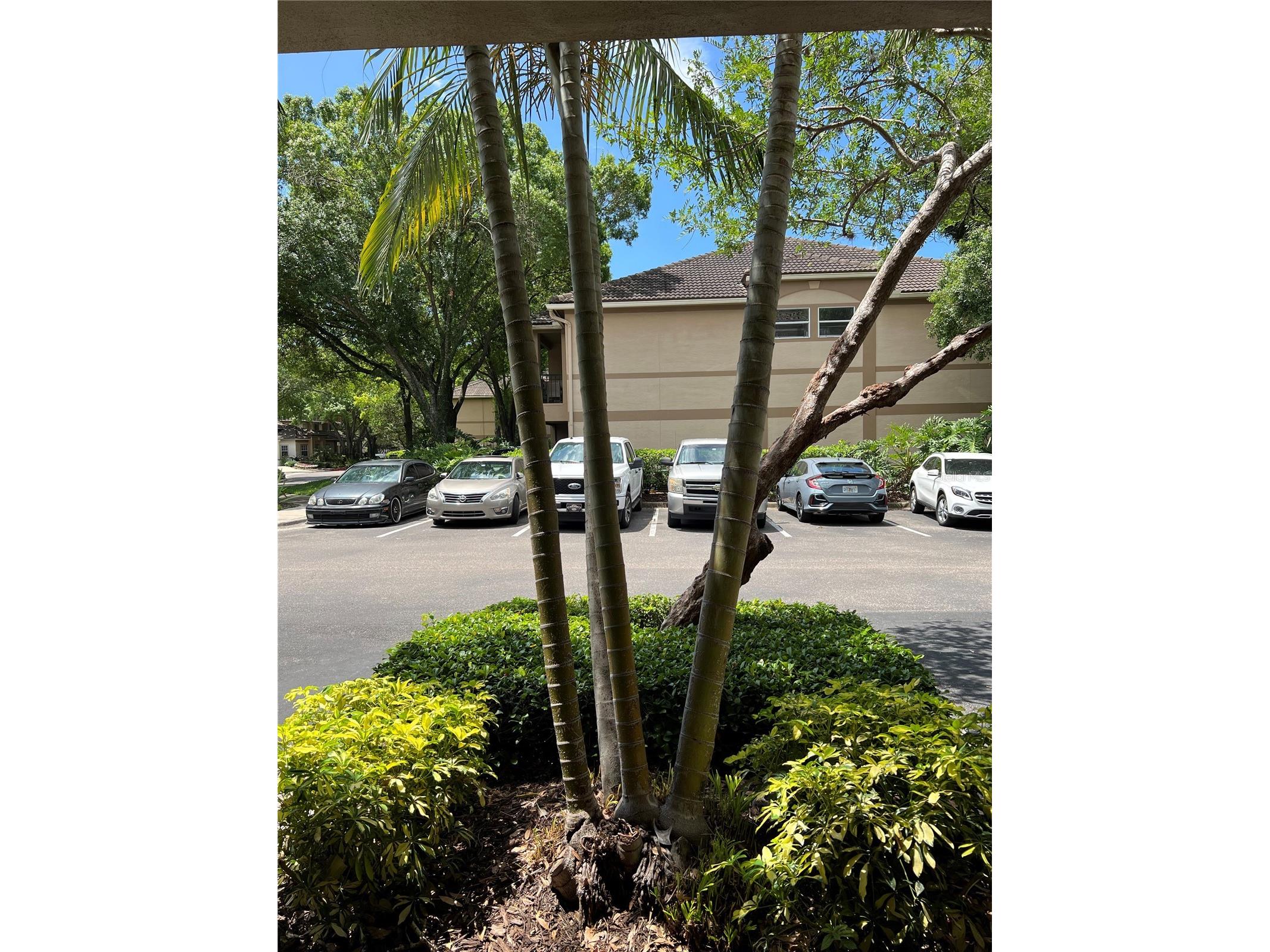 805 Normandy Trace Road Tampa FL 33602 TB8471057 image3