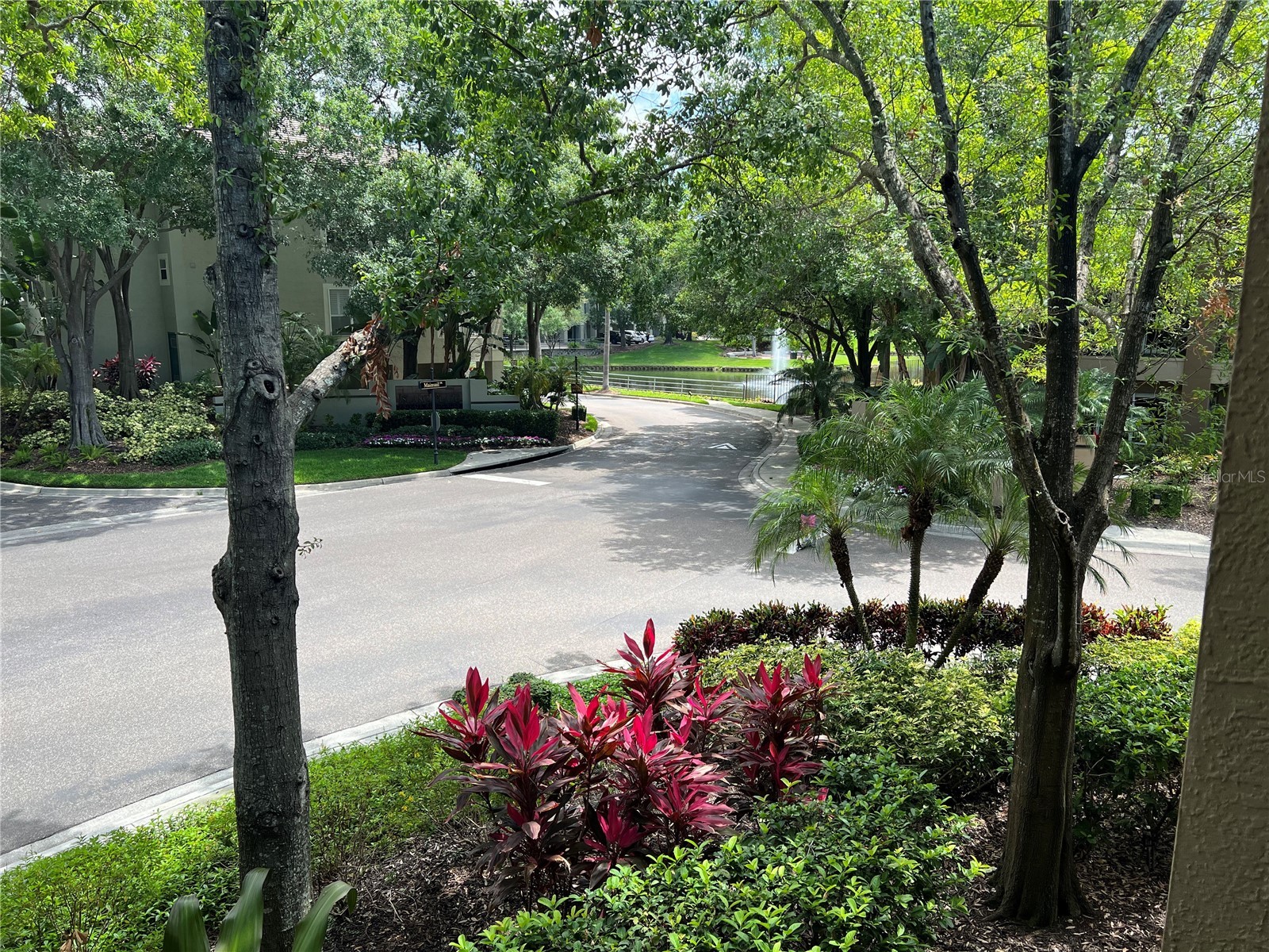 805 Normandy Trace Road Tampa FL 33602 TB8471057 image4