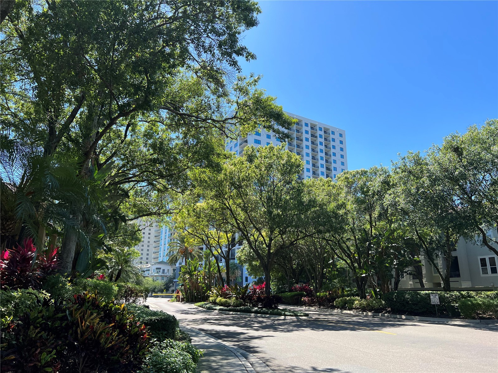805 Normandy Trace Road Tampa FL 33602 TB8471057 image48